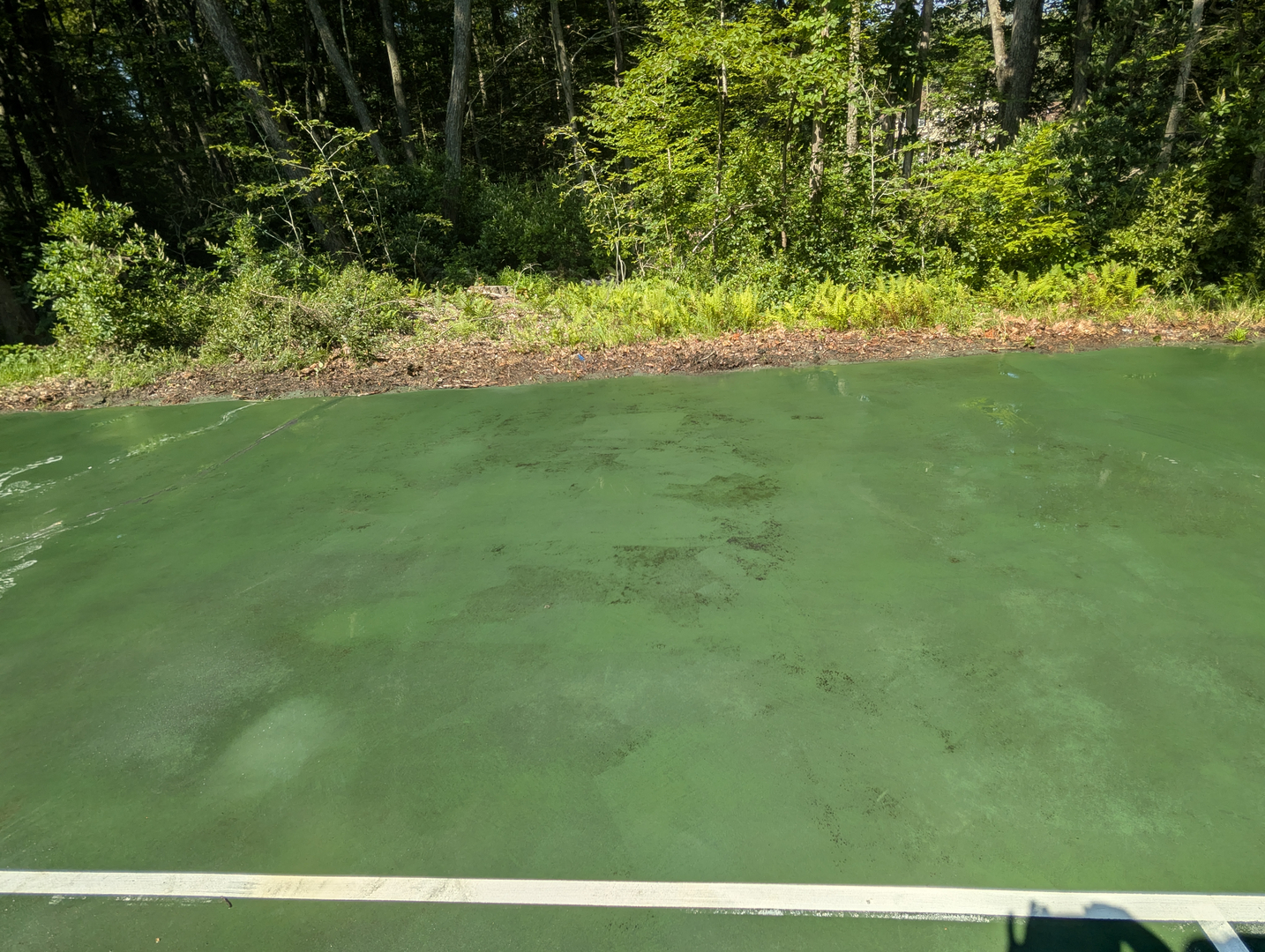 Patio and walkway cleaning — clean pavers and stone surfaces
